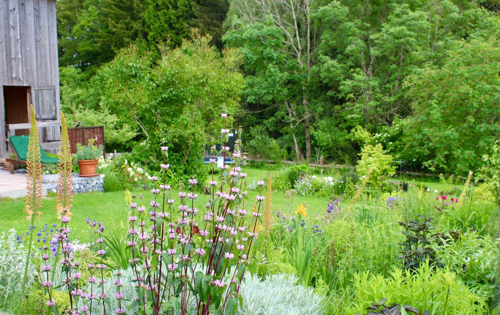 Landsitz Rocky Docky Villa Niedersonthofen Eksteriør billede